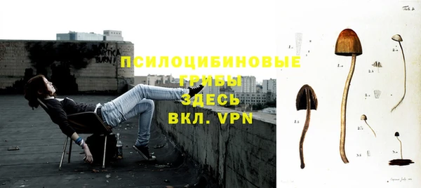 мяу мяу кристалл Баксан