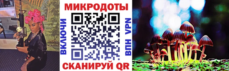 купить наркотик  Тутаев  Псилоцибиновые грибы Psilocybine cubensis 